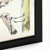 Vintage Animal Art – Spur-Winged Plover Illustration Wall Print