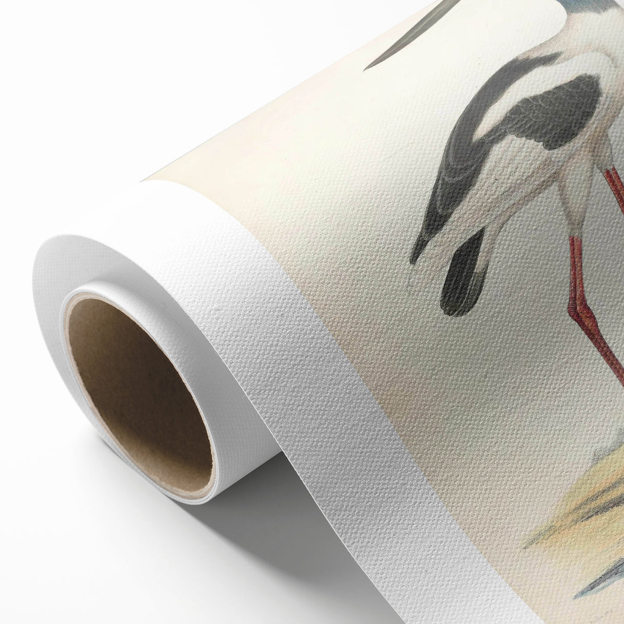 Vintage Animal Art – Elegant Black-Necked Stork Wall Print