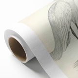 Vintage Animal Art – Indian White Heron Illustration Wall Print