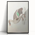 Vintage Animal Art – Spotted-Billed Duck Illustration Print