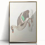 Vintage Animal Art – Spotted-Billed Duck Illustration Print