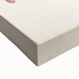 Vintage Animal Art – Spotted-Billed Duck Illustration Print