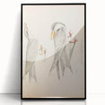 Vintage Animal Art – Waved Tern Illustration Wall Print