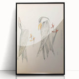 Vintage Animal Art – Waved Tern Illustration Wall Print