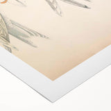 Vintage Animal Art – Waved Tern Illustration Wall Print