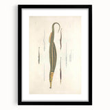 Vintage Animal Art – Exotic Pipefish Illustration Wall Print