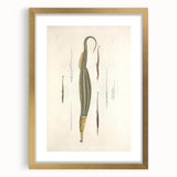 Vintage Animal Art – Exotic Pipefish Illustration Wall Print
