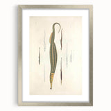 Vintage Animal Art – Exotic Pipefish Illustration Wall Print