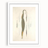Vintage Animal Art – Exotic Pipefish Illustration Wall Print