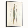 Vintage Animal Art – Exotic Pipefish Illustration Wall Print
