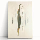 Vintage Animal Art – Exotic Pipefish Illustration Wall Print