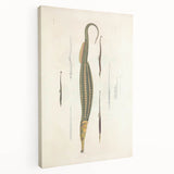 Vintage Animal Art – Exotic Pipefish Illustration Wall Print