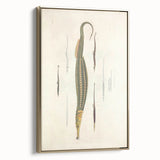Vintage Animal Art – Exotic Pipefish Illustration Wall Print