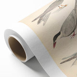 Vintage Animal Art – Elegant Tern Bird Illustration Wall Print