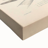 Vintage Animal Art – Elegant Tern Bird Illustration Wall Print