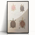 Vintage Animal Art – Terrapin Turtle Illustration Wall Print