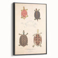 Vintage Animal Art – Terrapin Turtle Illustration Wall Print