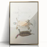Vintage Animal Art – Kachuga Terrapin Turtle Illustration Print