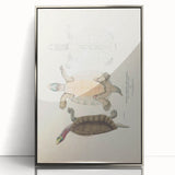 Vintage Animal Art – Kachuga Terrapin Turtle Illustration Print