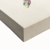 Vintage Animal Art – Kachuga Terrapin Turtle Illustration Print