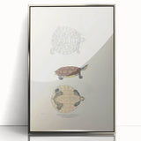 Vintage Animal Art – Baska Terrapin Turtle Illustration Print