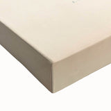 Vintage Animal Art – Spotted Terrapin Turtle Illustration Print