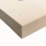 Vintage Animal Art – Eyed Trionix Turtle Illustration Print