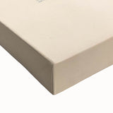 Vintage Animal Art – Flat Trionyx Turtle Illustration Print