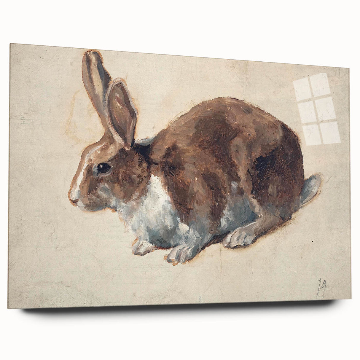 Vintage Animal Art – Realistic Rabbit Illustration Wall Print