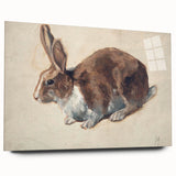 Vintage Animal Art – Realistic Rabbit Illustration Wall Print