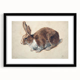 Vintage Animal Art – Realistic Rabbit Illustration Wall Print