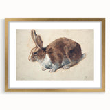 Vintage Animal Art – Realistic Rabbit Illustration Wall Print