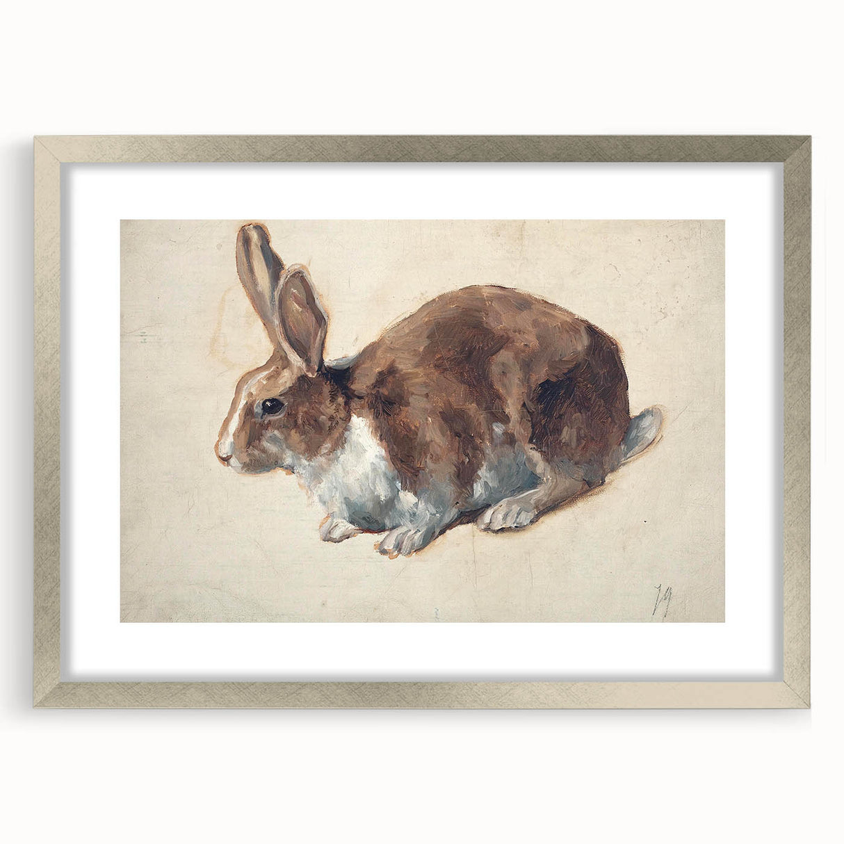 Vintage Animal Art – Realistic Rabbit Illustration Wall Print