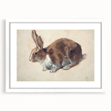 Vintage Animal Art – Realistic Rabbit Illustration Wall Print
