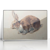 Vintage Animal Art – Realistic Rabbit Illustration Wall Print