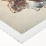 Vintage Animal Art – Realistic Rabbit Illustration Wall Print