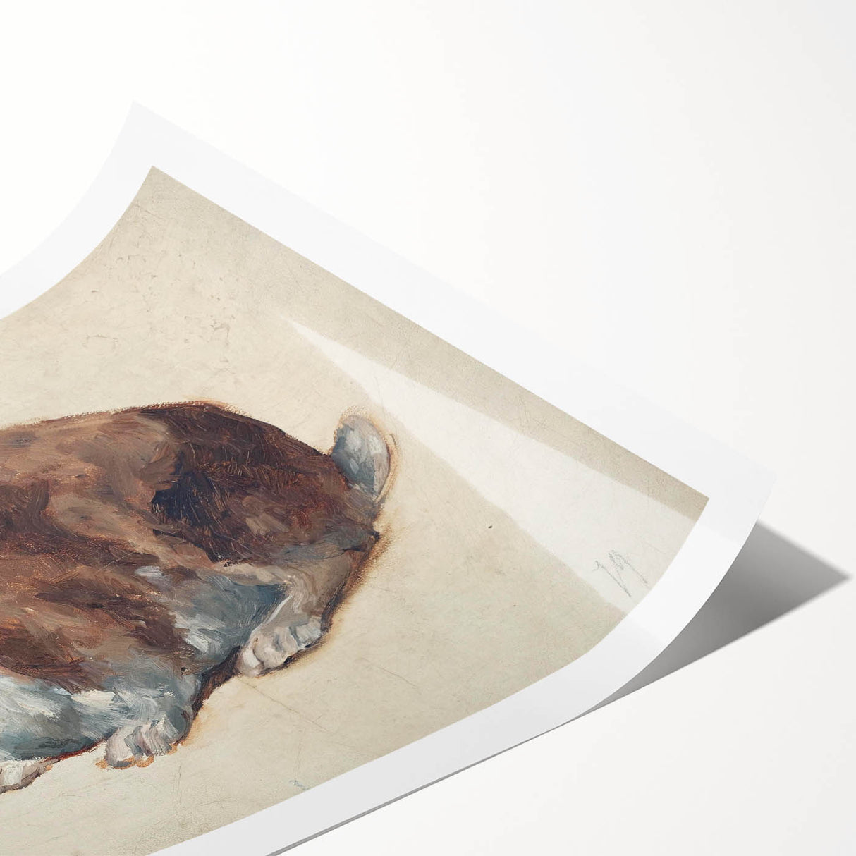 Vintage Animal Art – Realistic Rabbit Illustration Wall Print