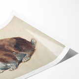 Vintage Animal Art – Realistic Rabbit Illustration Wall Print