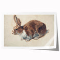 Vintage Animal Art – Realistic Rabbit Illustration Wall Print