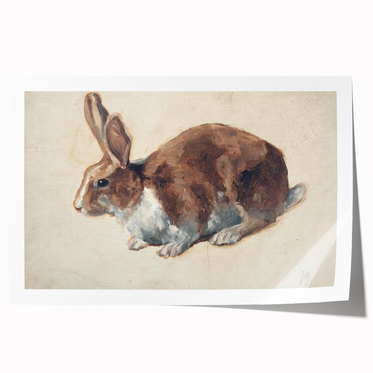 Vintage Animal Art – Realistic Rabbit Illustration Wall Print