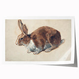 Vintage Animal Art – Realistic Rabbit Illustration Wall Print