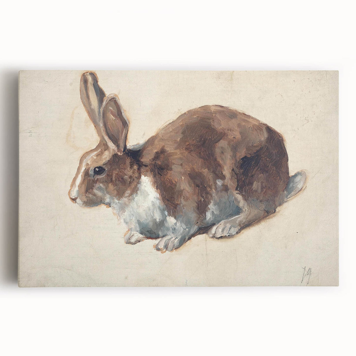 Vintage Animal Art – Realistic Rabbit Illustration Wall Print