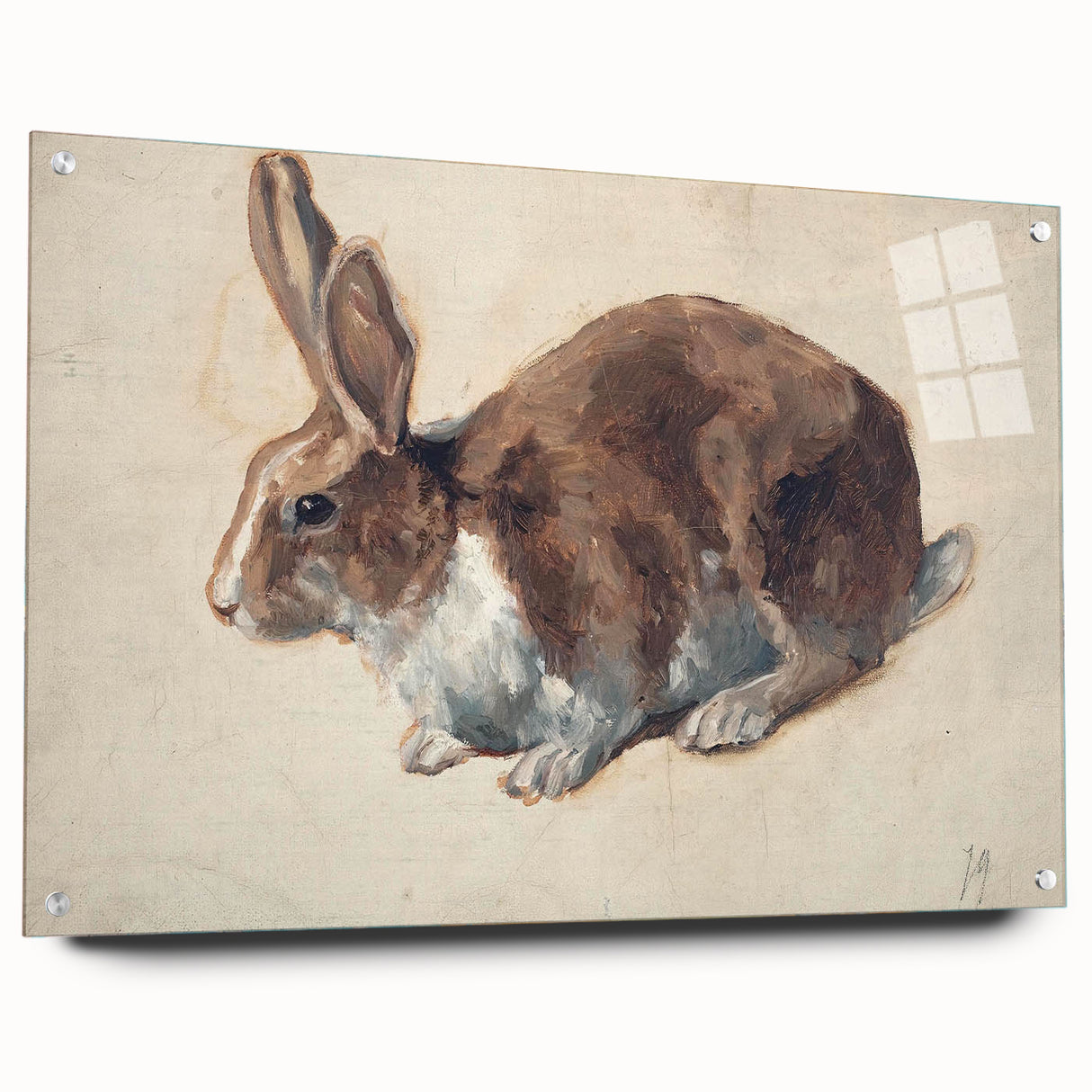 Vintage Animal Art – Realistic Rabbit Illustration Wall Print