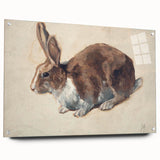 Vintage Animal Art – Realistic Rabbit Illustration Wall Print