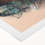 Vintage Animal Art – Clouded Leopard Illustration Wall Print