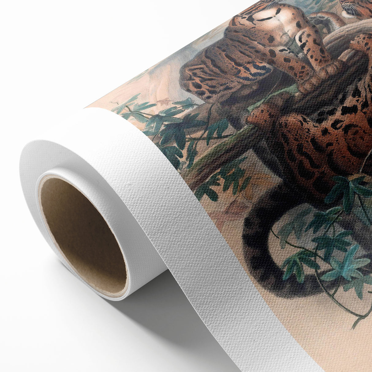 Vintage Animal Art – Clouded Leopard Illustration Wall Print