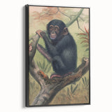 Vintage Animal Art – Chimpanzee Illustration Wall Print