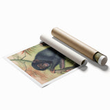 Vintage Animal Art – Chimpanzee Illustration Wall Print