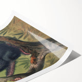 Vintage Animal Art – Chimpanzee Illustration Wall Print