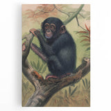 Vintage Animal Art – Chimpanzee Illustration Wall Print